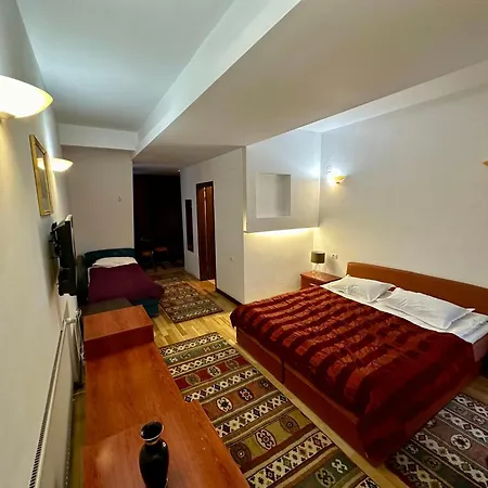 Pensiunea Rasnoava Guest house