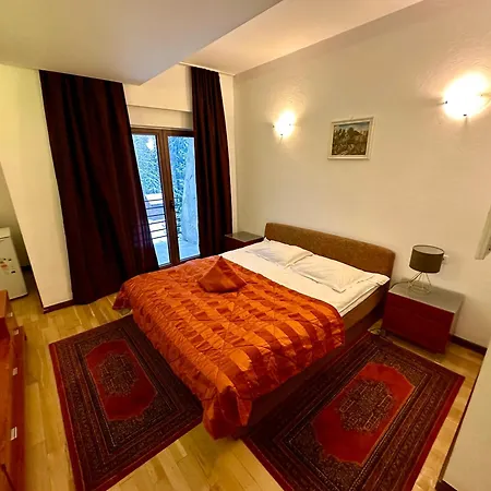 Pensiunea Rasnoava Guest house Predeal