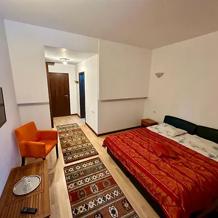 Guest house Pensiunea Rasnoava *