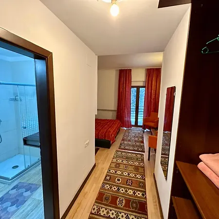 Pensiunea Rasnoava Guest house *