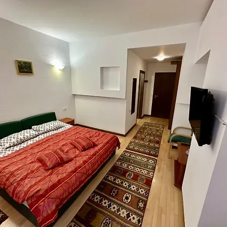 Pensiunea Rasnoava Guest house Predeal