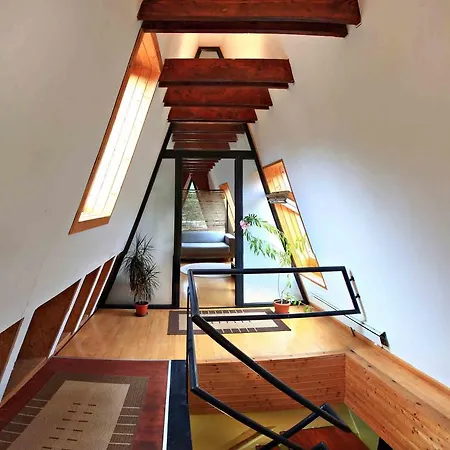 Pensiunea Rasnoava Guest house *